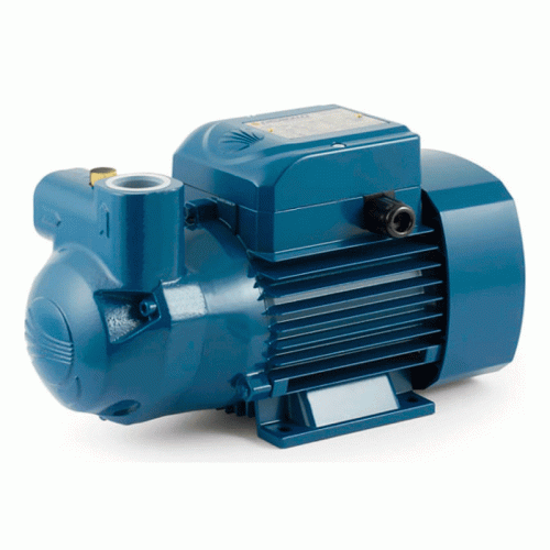 Самовсасывающий жидкостно-кольцевой насос Pedrollo CKRm 80-E