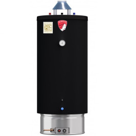 Водонагреватель газовый Federica Bugatti INOX WH200