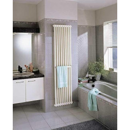 Стальной трубчатый радиатор с нижним подключением Arbonia 2180 N69 ТВВ / 10 секций
