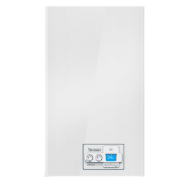 Настенный газовый котел Thermona Therm 35 KDС