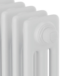 Дизайн радиатор стальной трубчатый Royal Thermo Insignia VC3180 6 секций