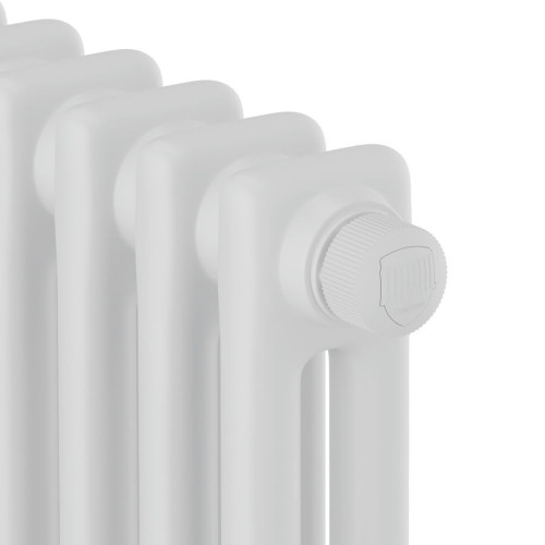 Дизайн радиатор стальной трубчатый Royal Thermo Insignia VC2180 8 секций