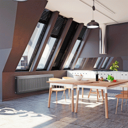 Панельный стальной радиатор Royal Thermo COMPACT C21 (300x400 мм)