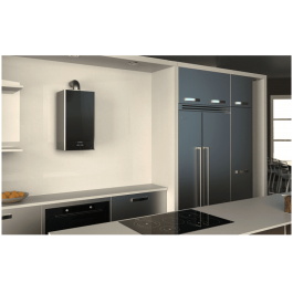 Настенный газовый котел Ariston ALTEAS ONE+ NET 24