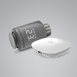 Набор ROYAL для интеллектуального дистанционного управления радиатором RT, серебристый