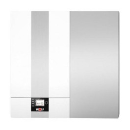 Настенный конденсационный котел Wolf CGW-2-14/100L