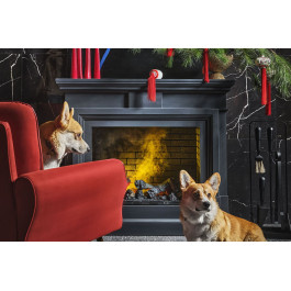 Dimplex Coventry - Белый / Кирпич с очагом Cassette 400 NH