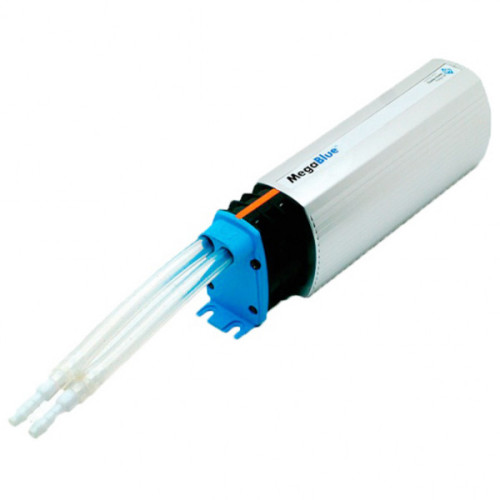 Charles Austen Mega Blue Charles Austen Mega Blue